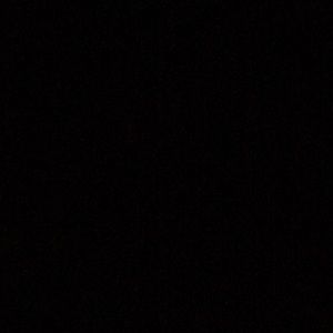 Meet your Posher, Shelbie